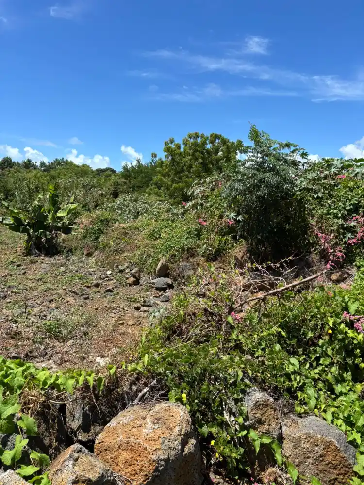 Residential Land for Sale – 26 Perches in Grand Gaube